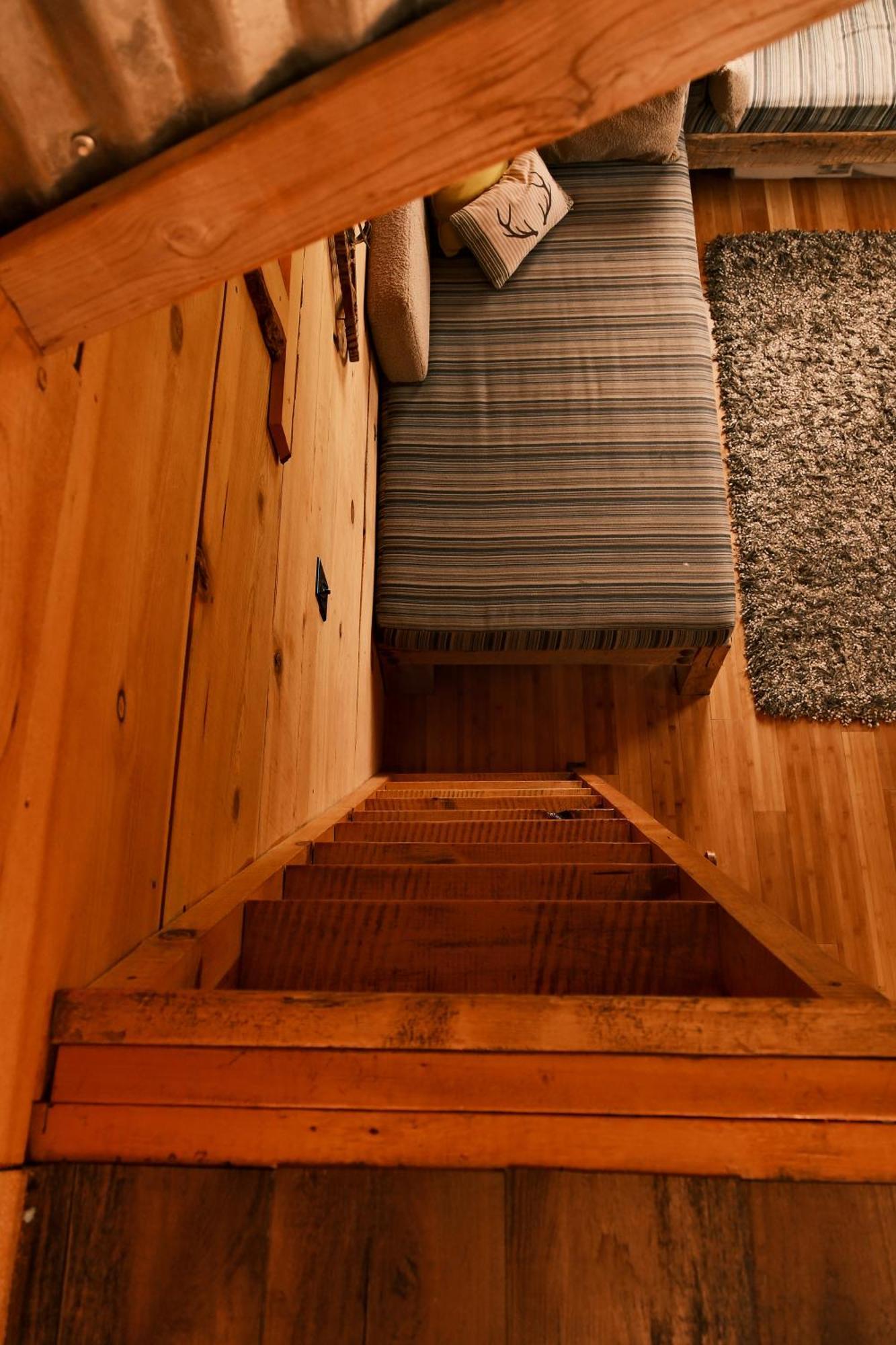 Vila Crows Nest Treehouse At El Mstico Ranch Nogal Exteriér fotografie