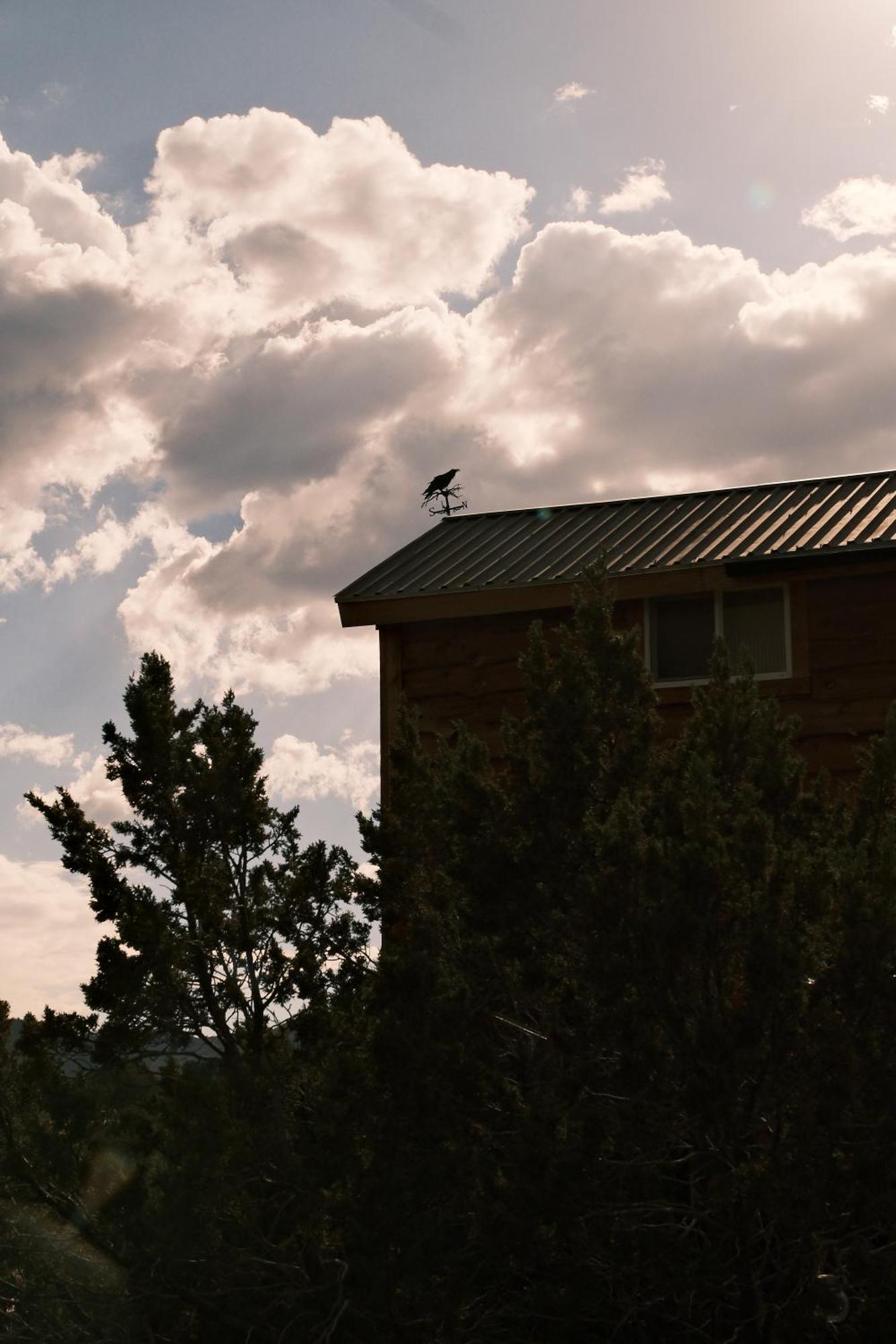 Vila Crows Nest Treehouse At El Mstico Ranch Nogal Exteriér fotografie