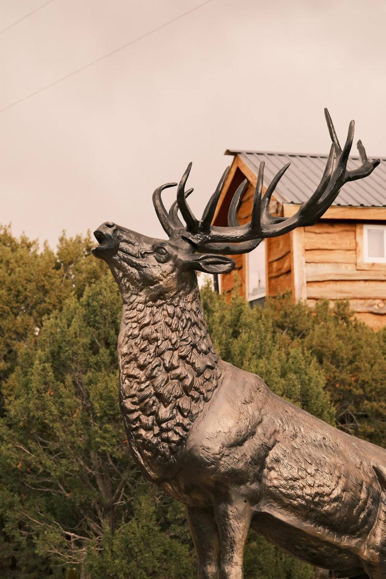 Vila Crows Nest Treehouse At El Mstico Ranch Nogal Exteriér fotografie
